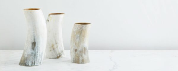 10967-10969-10968-natural-horn-vase_0029_35d6d5d1-b130-47a8-ae87-c1d961ad9312