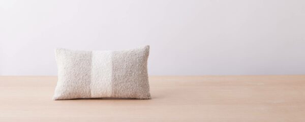 pillow1_0131f7f0-39af-4216-b80a-3cd1d361ea00