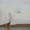 pillow2_41260fbf-25ee-4a13-bb35-e5abea04f514